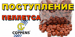 Поступление пеллетса COPPENS!