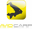 Avid Carp