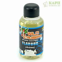 Fun Fishing Aromes Liquid 50ml WILD STRAWBERRY - Ароматизатор КЛУБНИКА