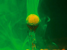 FLUO